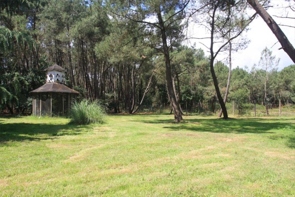 Le Clos Du Chene Langon  Exterior foto
